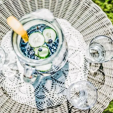 Enzian By Interhome Apartamento Arriach